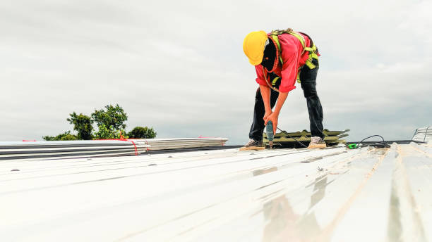 Best Gutter Installation and Repair  in Genoa City, WI