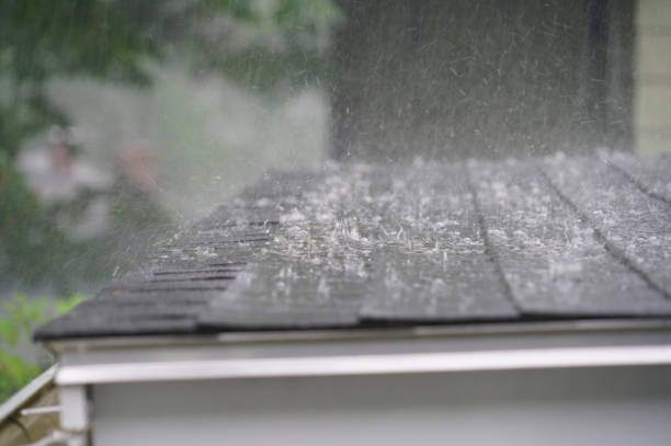 Best Gutter Installation and Repair  in Genoa City, WI