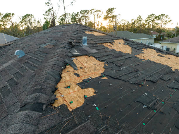 Professional Roofing Service in Genoa City, WI