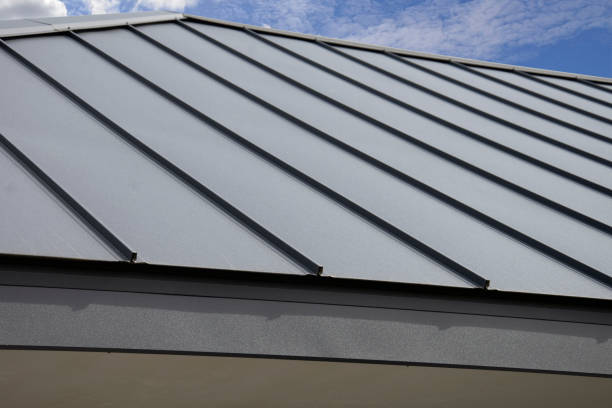 Best Solar Panel Roofing Installation  in Genoa City, WI